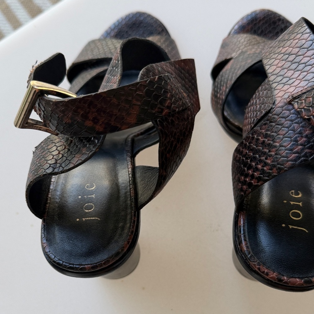Joie Dark Brown Snake-Embossed Leather Slide Sandals with Gold Buckle